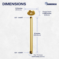 Dimensions Straight Shower Arm Brushed Gold / 12 Inch - The Shower Head Store