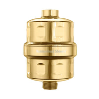 Main Image Shower Head Filter Polished Brass - The Shower Head Store