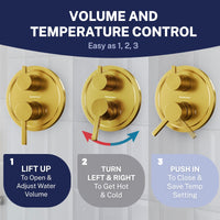 Volume andTemperature Steve White Bundle - 2H Valve and Trim Slide Bar with 1-Spray and 8-inch Rain Shower Head Brushed Gold / 2.5 - The Shower Head Store