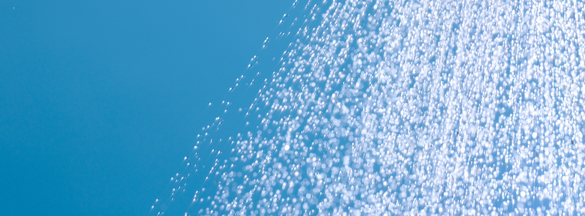 Are Shower Filters Worth It? What 