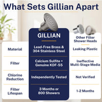 Features Gillian — The METAL Filtered Shower Head HammerHead Gray / 2.5 GPM HammerHead Gray / 1.75 GPM - The Shower Head Store