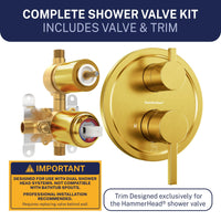 Complete Kit 2-Handle Valve and Trim Brushed Gold  - The Shower Head Store