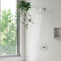 Filtered Shower head with a plant in the background