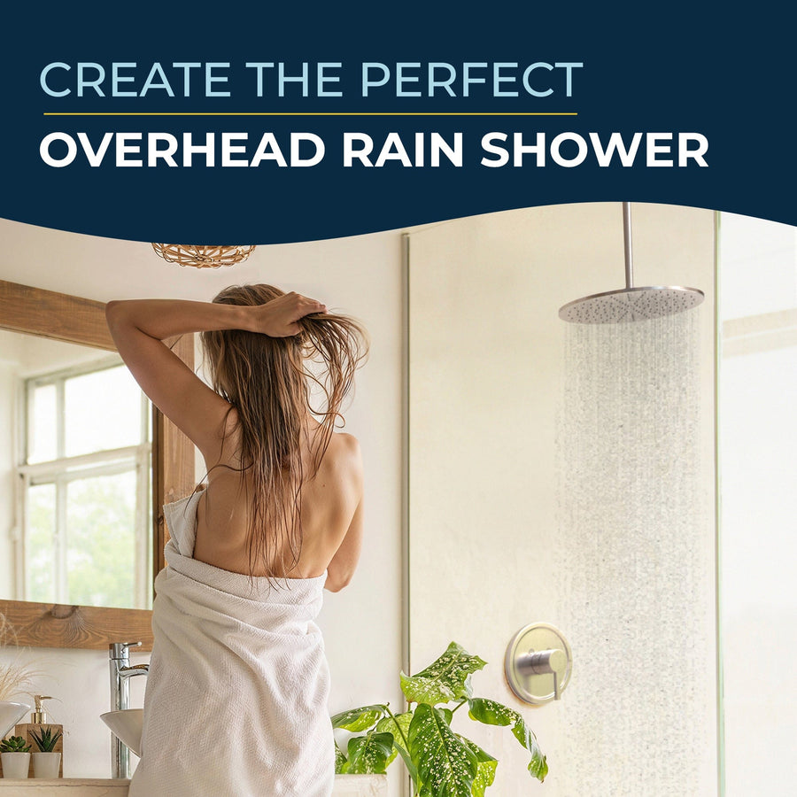 Lifestyle 12" Straight Shower Arm Brushed Nickel  - The Shower Head Store