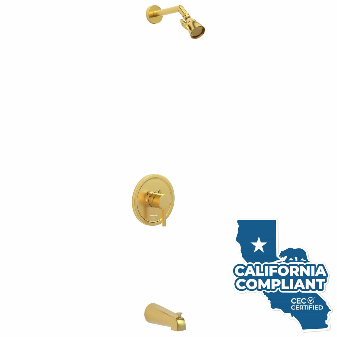 Tub Spout and Valve Shower System with 2 Inch Shower Head Set