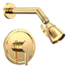 Polished Brass
